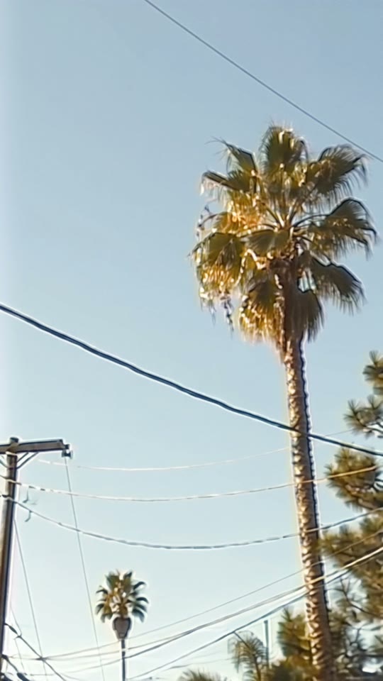 MV 001 still